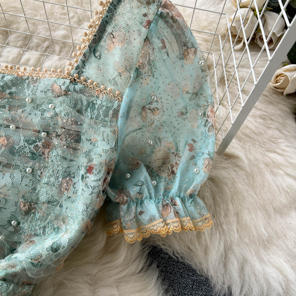 Arielle Puff Sleeve Lace Mesh Dress