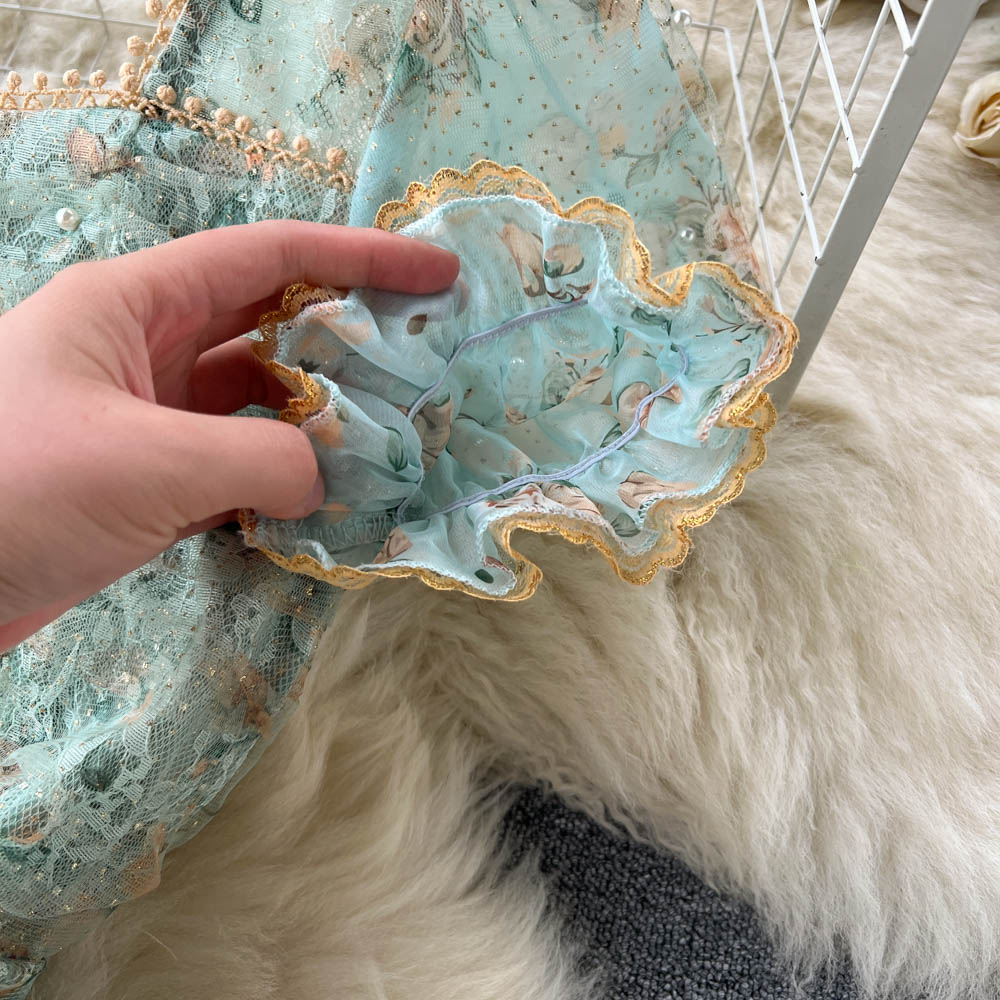 Arielle Puff Sleeve Lace Mesh Dress