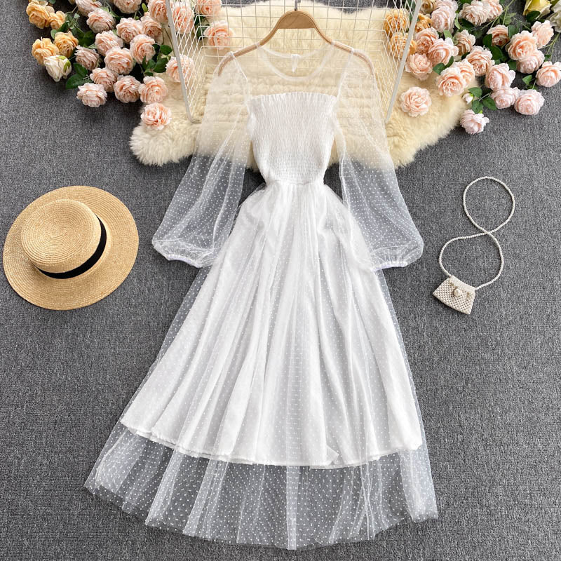 Amina Mesh Dress