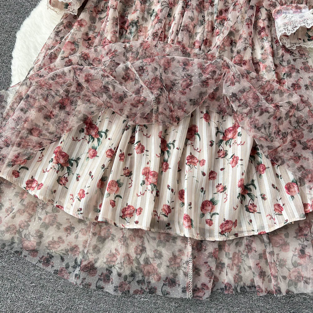Jocelyn Lace Mesh Dress