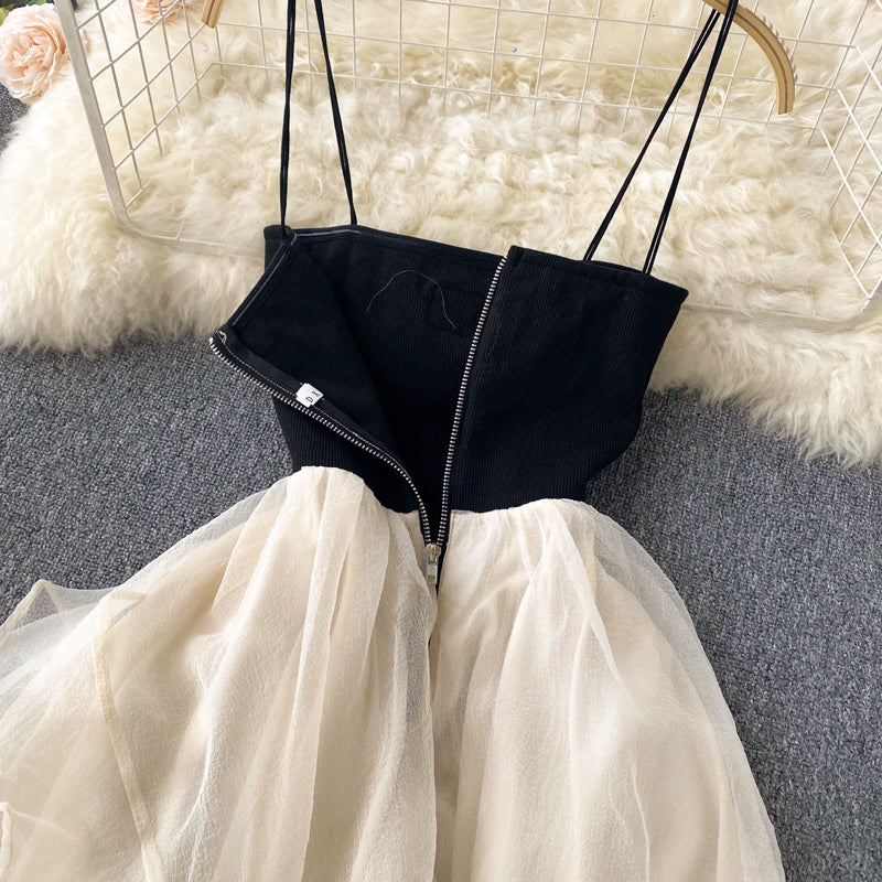 Aithne Chiffon Mesh Dress