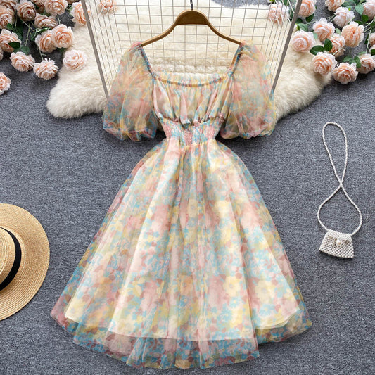 Flora Chiffon Mesh Dress