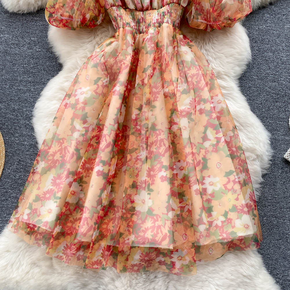 Flora Chiffon Mesh Dress