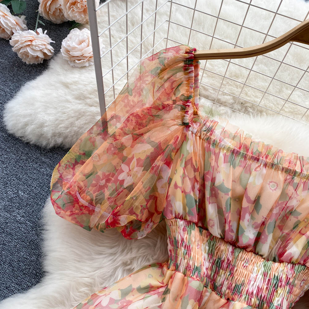 Flora Chiffon Mesh Dress