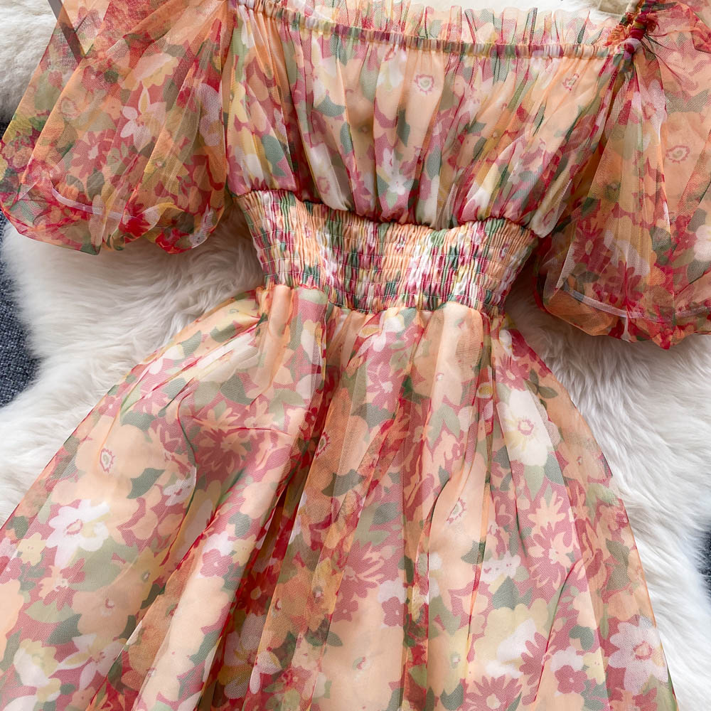Flora Chiffon Mesh Dress
