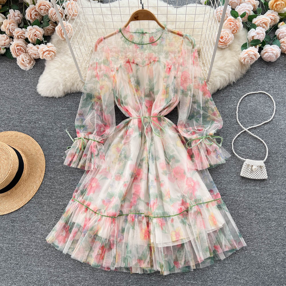 Aniyah Trumpet Sleeve Mesh Dress