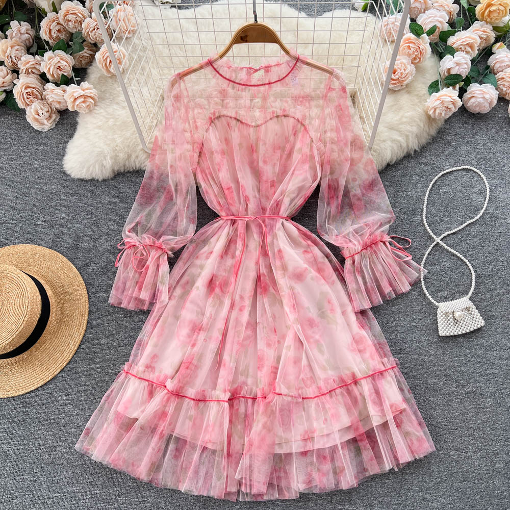 Aniyah Trumpet Sleeve Mesh Dress