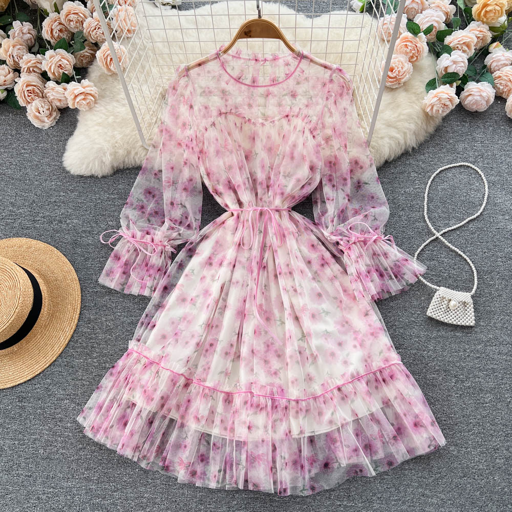 Aniyah Trumpet Sleeve Mesh Dress