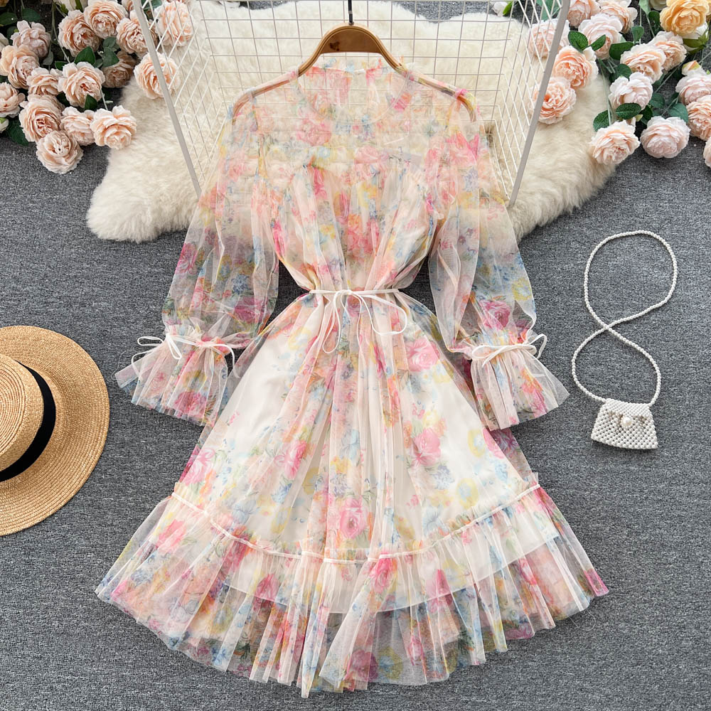 Aniyah Trumpet Sleeve Mesh Dress