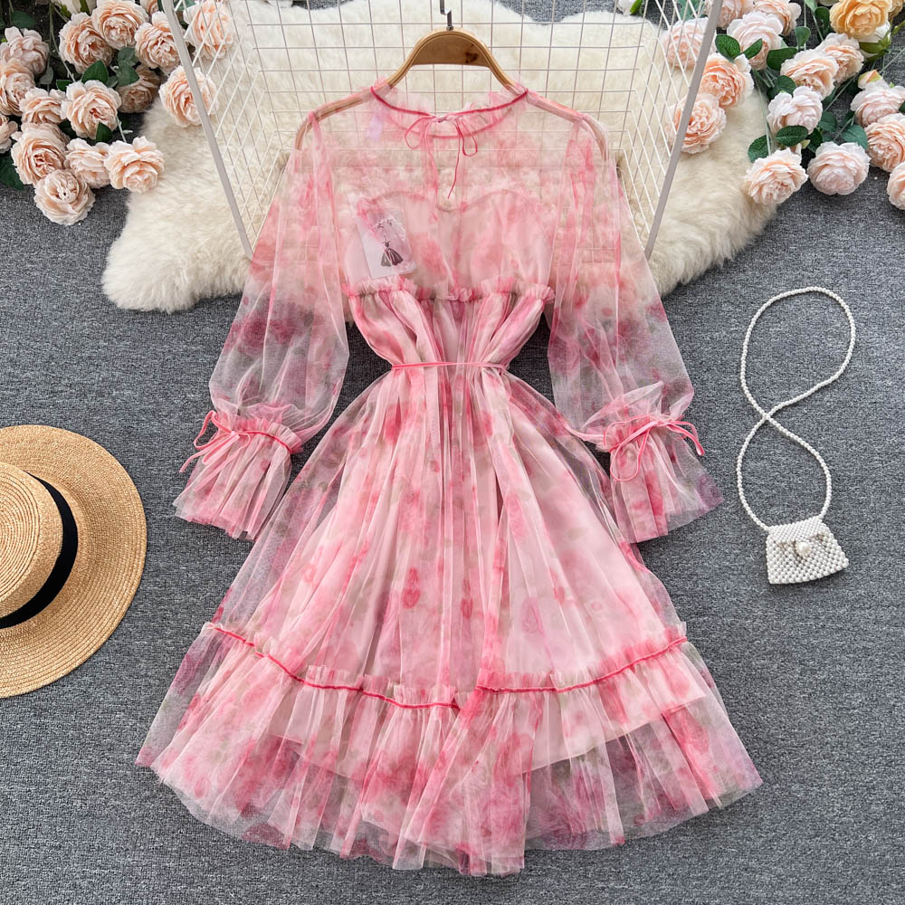 Aniyah Trumpet Sleeve Mesh Dress