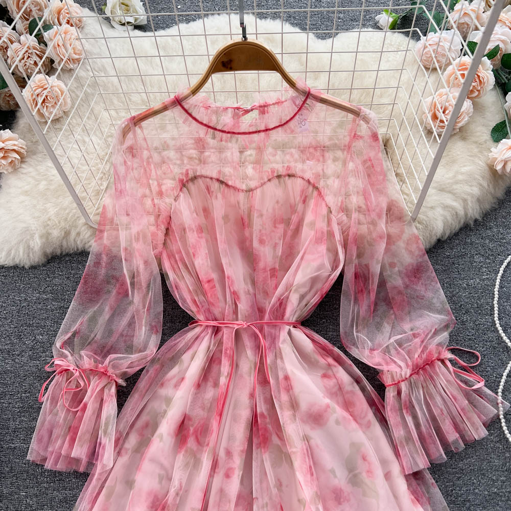 Aniyah Trumpet Sleeve Mesh Dress