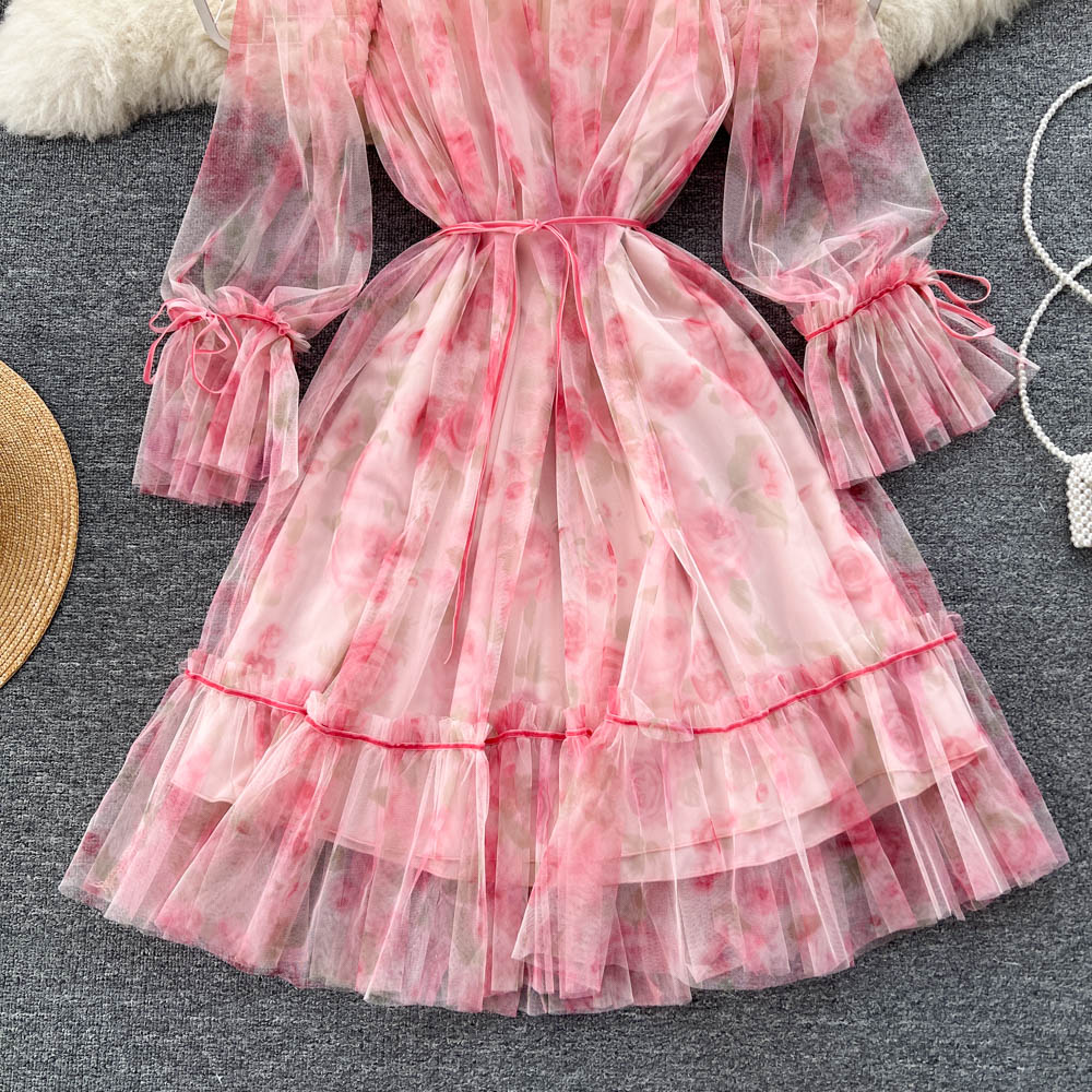 Aniyah Trumpet Sleeve Mesh Dress