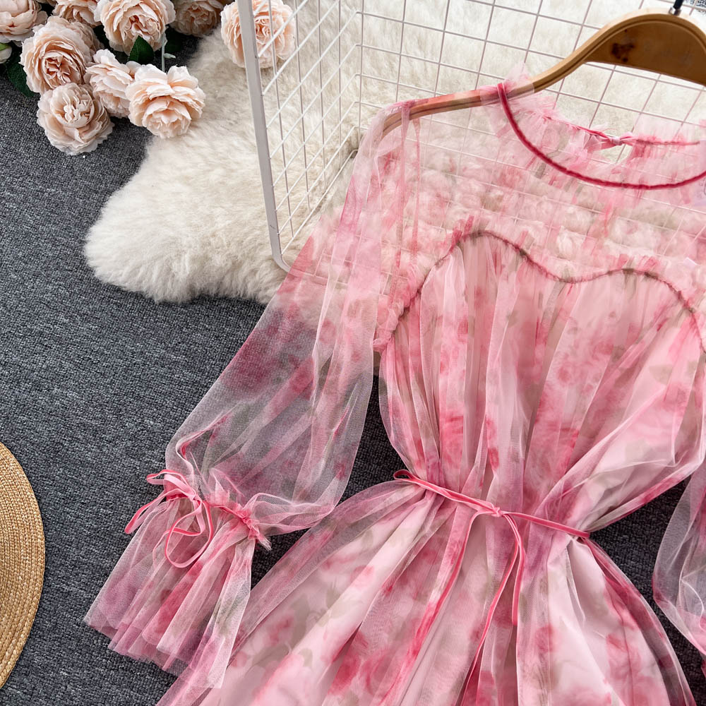 Aniyah Trumpet Sleeve Mesh Dress