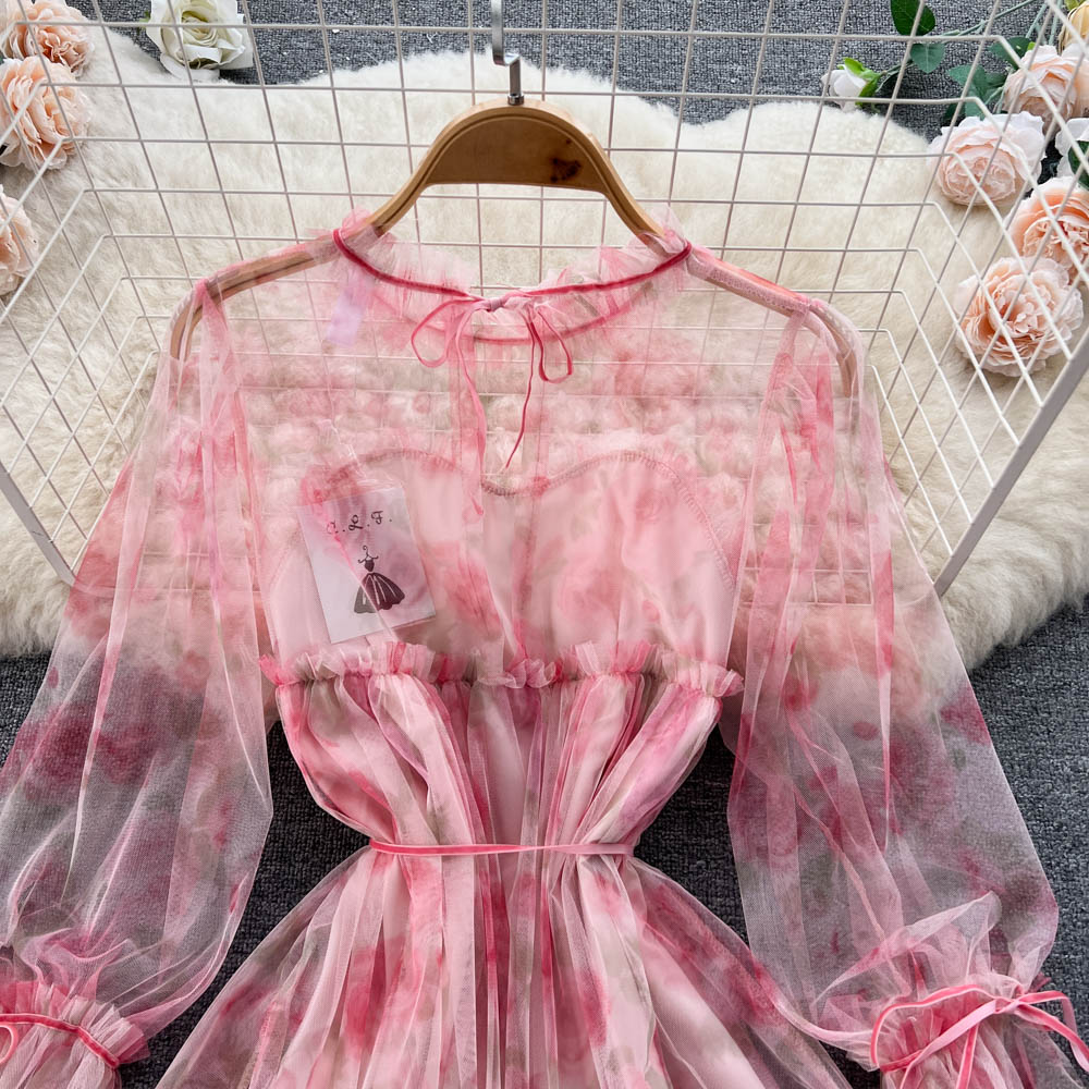 Aniyah Trumpet Sleeve Mesh Dress