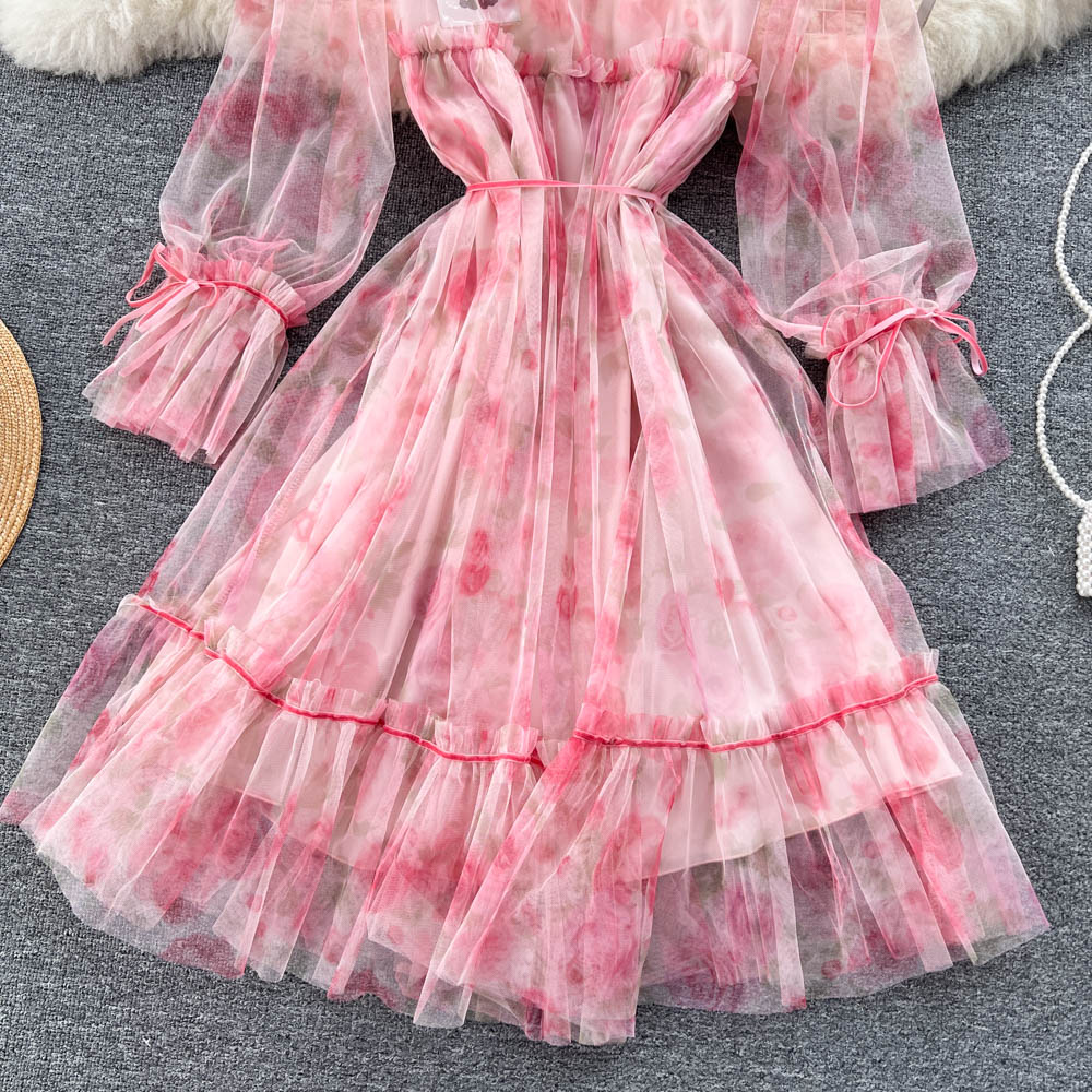 Aniyah Trumpet Sleeve Mesh Dress