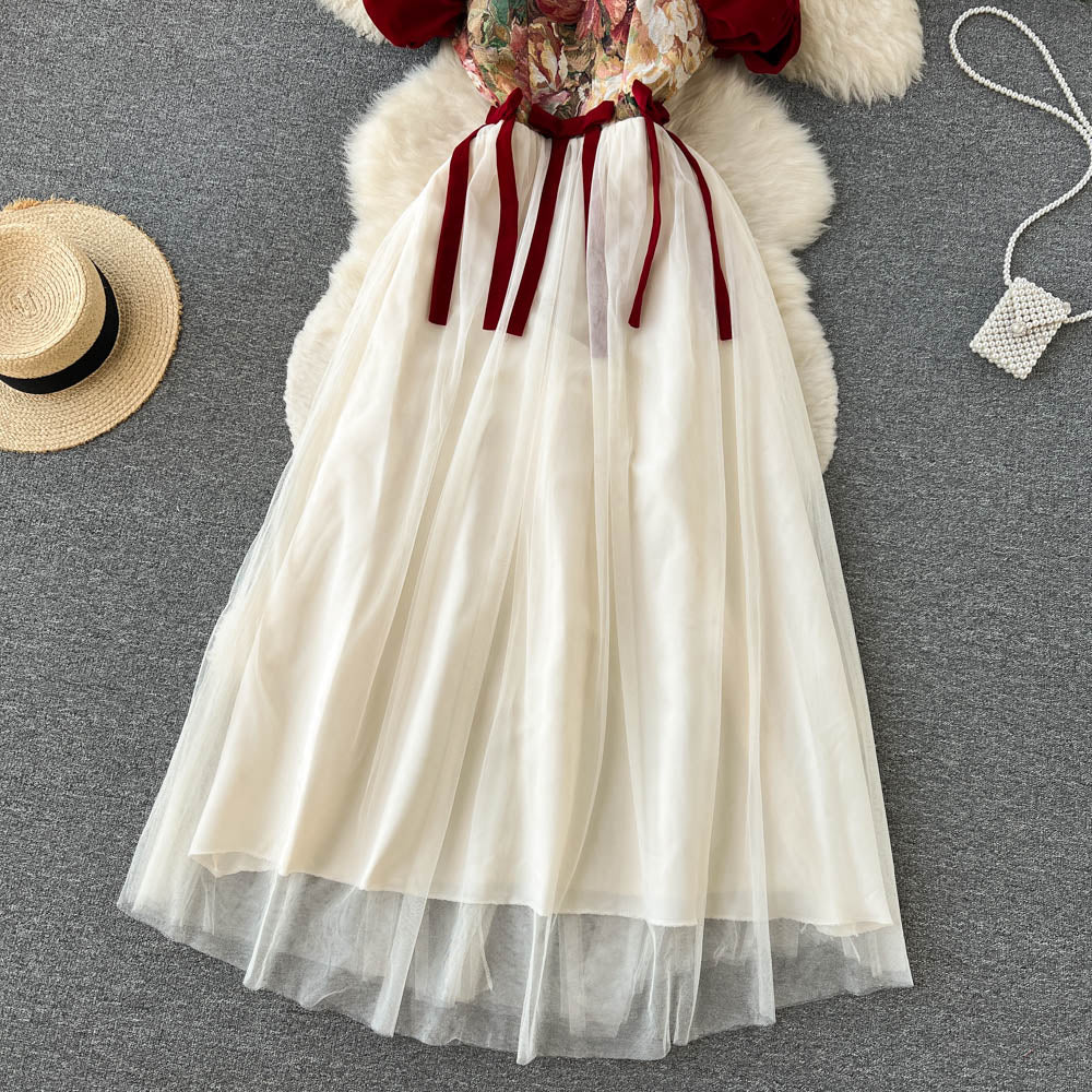 Antoinette Mesh Tie Dress