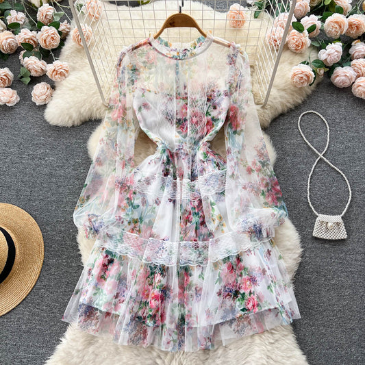 Alia Lace Edge Mesh Dress