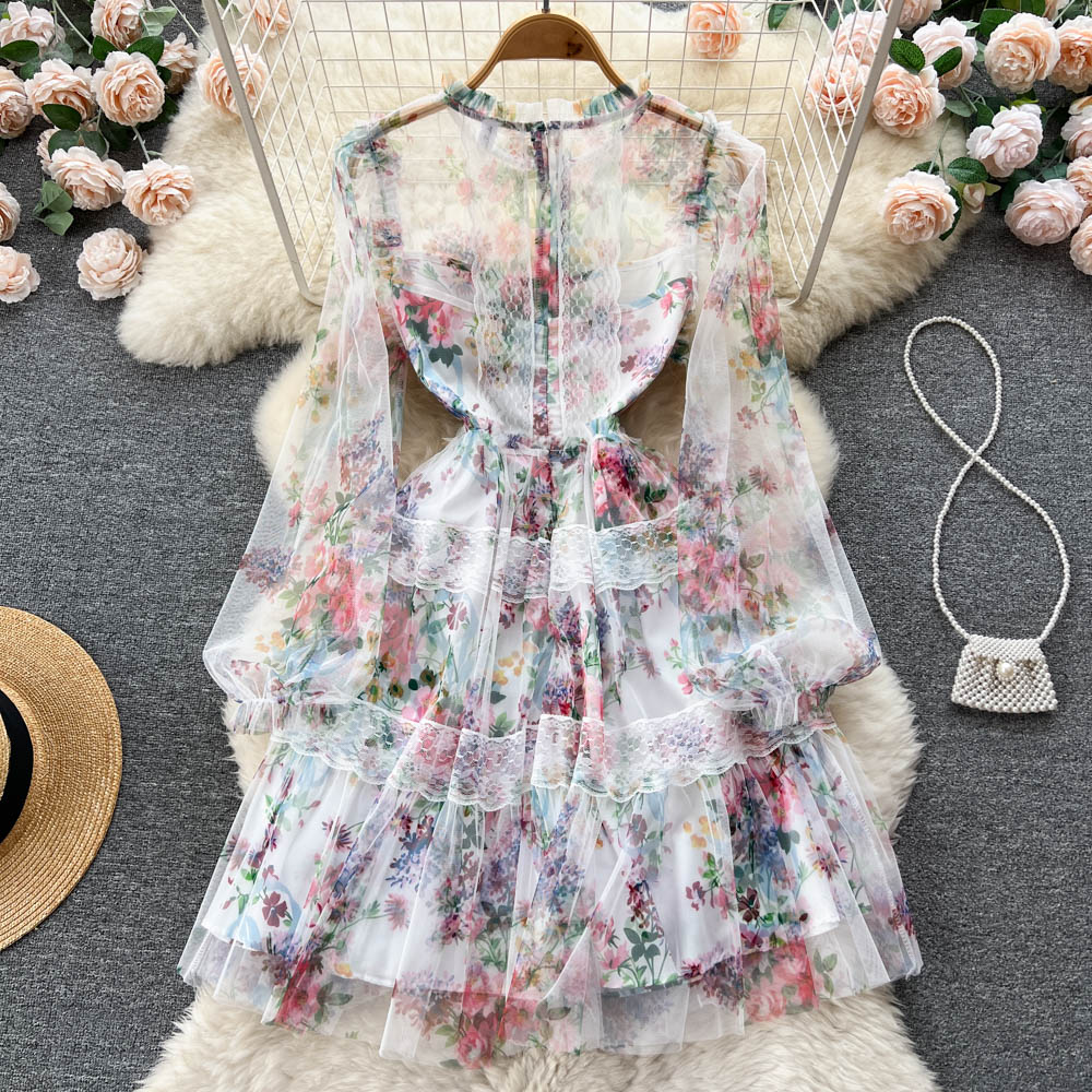 Alia Lace Edge Mesh Dress