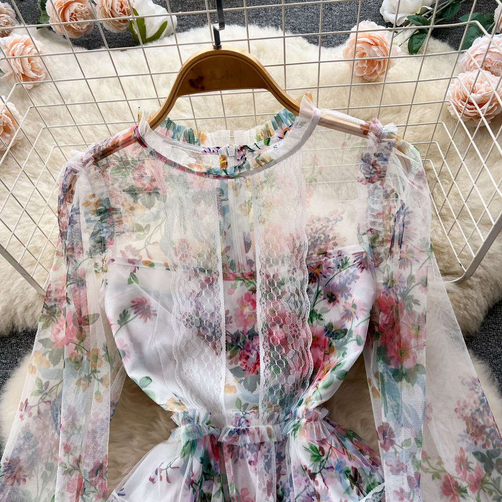 Alia Lace Edge Mesh Dress