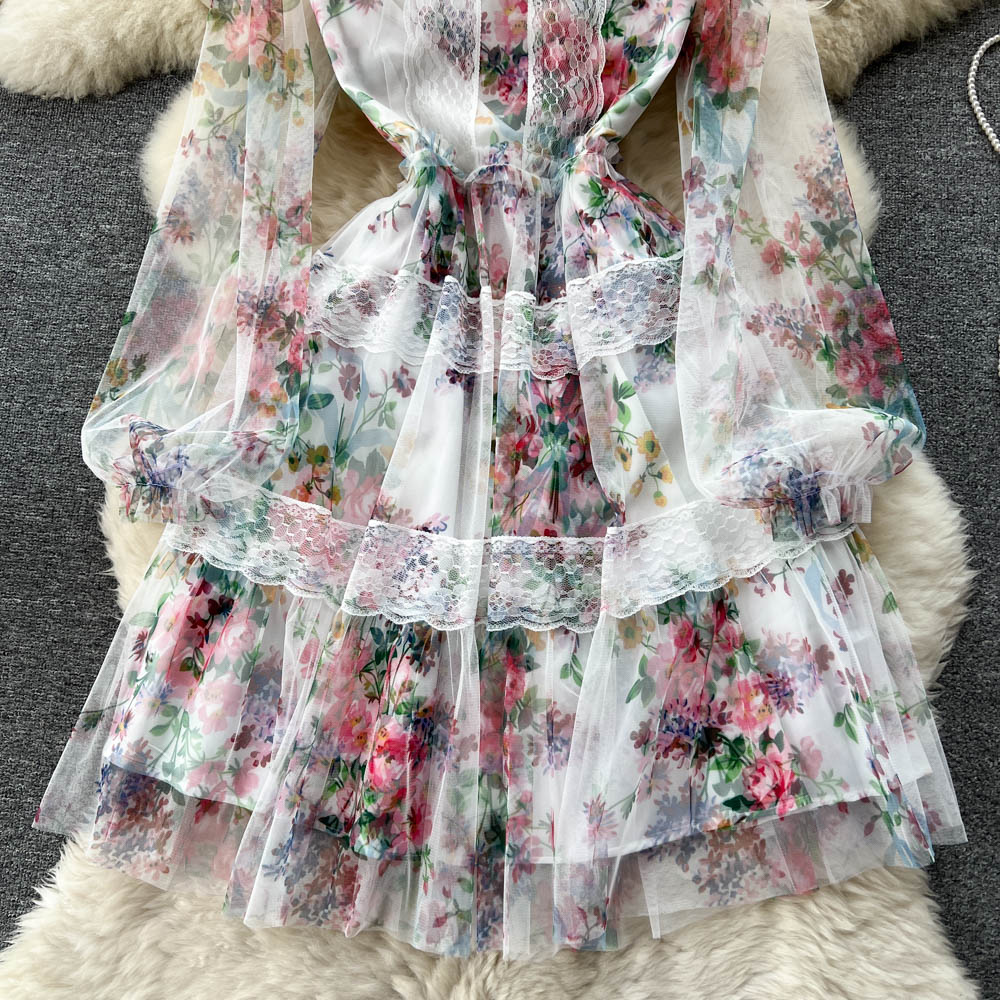 Alia Lace Edge Mesh Dress