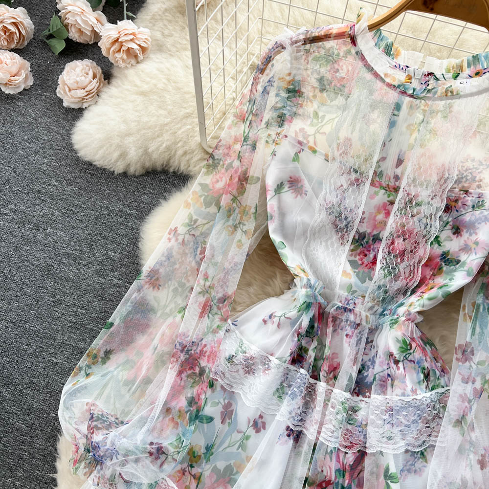 Alia Lace Edge Mesh Dress