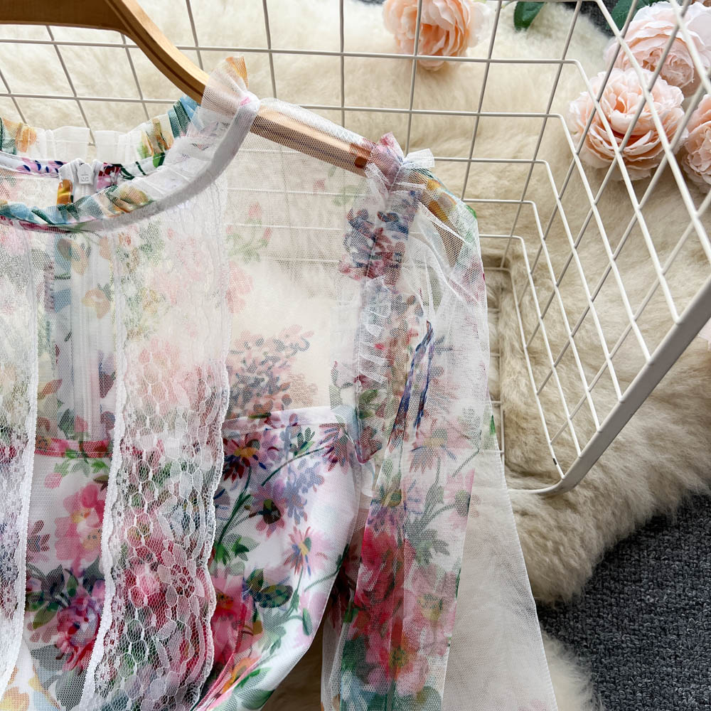 Alia Lace Edge Mesh Dress