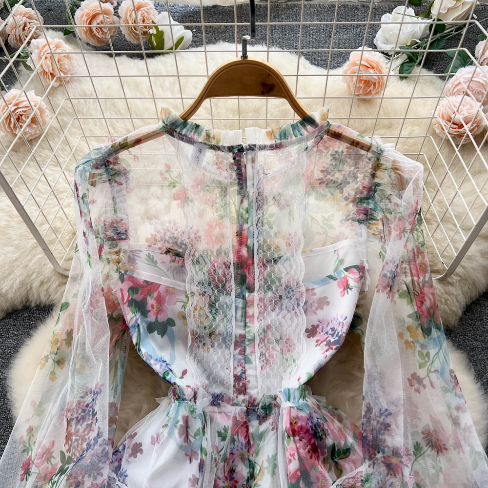 Alia Lace Edge Mesh Dress