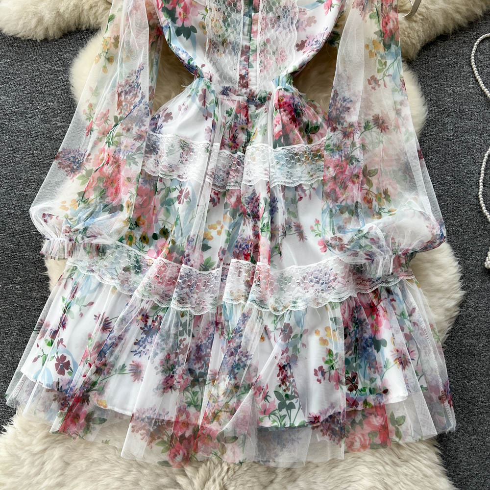 Alia Lace Edge Mesh Dress